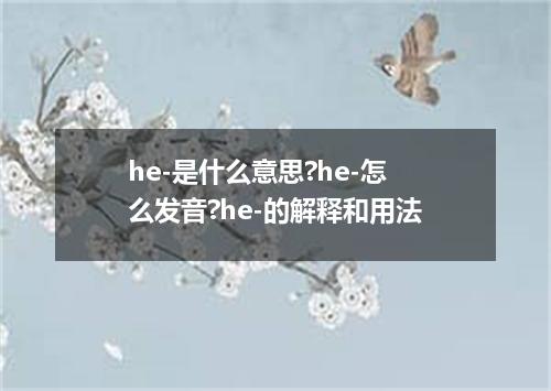 he-是什么意思?he-怎么发音?he-的解释和用法