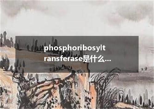 phosphoribosyltransferase是什么意思?phosphoribosyltransferase怎么发音?phosphoribosyltrans
