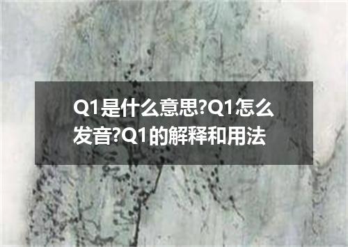 Q1是什么意思?Q1怎么发音?Q1的解释和用法