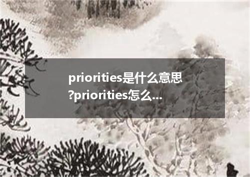 priorities是什么意思?priorities怎么发音?priorities的解释和用法