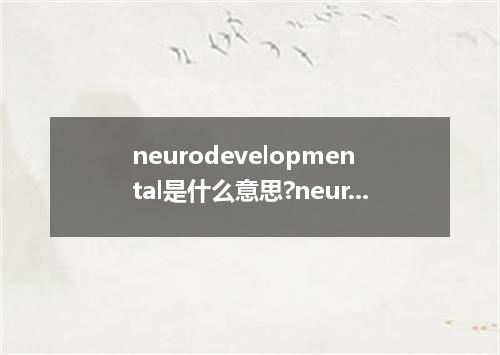 neurodevelopmental是什么意思?neurodevelopmental怎么发音?neurodevelopmental的解释和用法