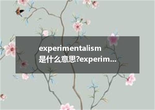 experimentalism是什么意思?experimentalism怎么发音?experimentalism的解释和用法