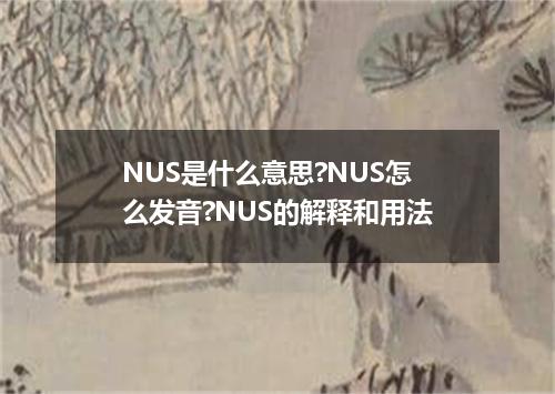 NUS是什么意思?NUS怎么发音?NUS的解释和用法