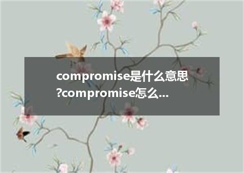 compromise是什么意思?compromise怎么发音?compromise的解释和用法