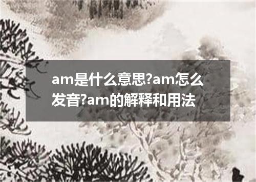 am是什么意思?am怎么发音?am的解释和用法