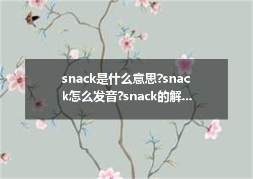 snack是什么意思?snack怎么发音?snack的解释和用法
