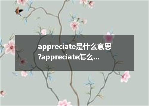 appreciate是什么意思?appreciate怎么发音?appreciate的解释和用法