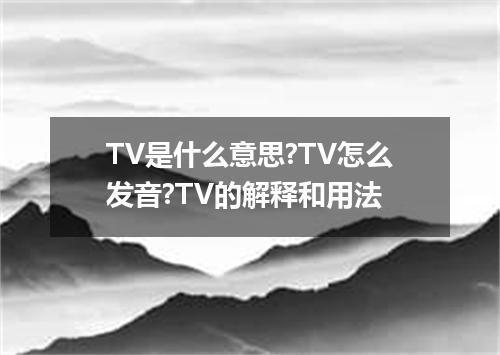 TV是什么意思?TV怎么发音?TV的解释和用法