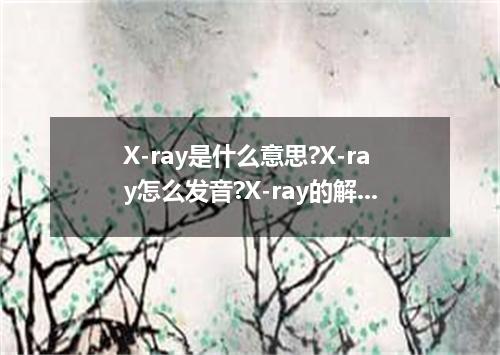 X-ray是什么意思?X-ray怎么发音?X-ray的解释和用法