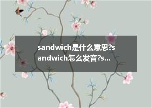 sandwich是什么意思?sandwich怎么发音?sandwich的解释和用法