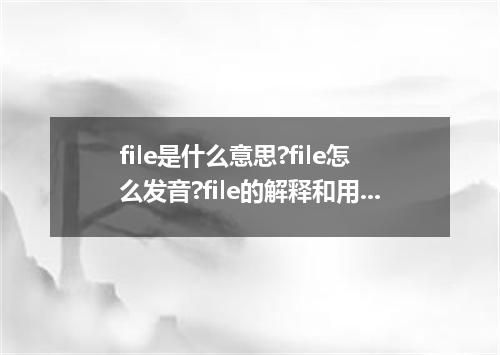 file是什么意思?file怎么发音?file的解释和用法