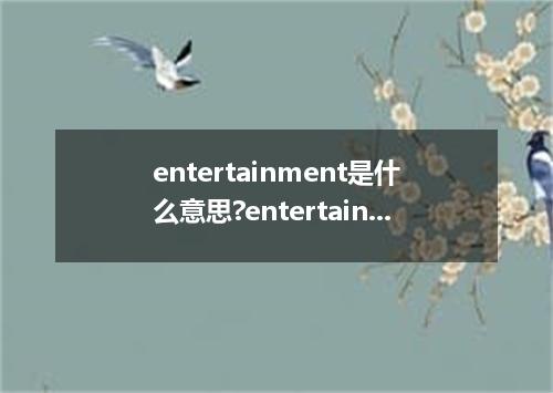 entertainment是什么意思?entertainment怎么发音?entertainment的解释和用法