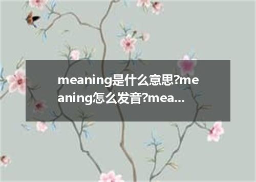 meaning是什么意思?meaning怎么发音?meaning的解释和用法