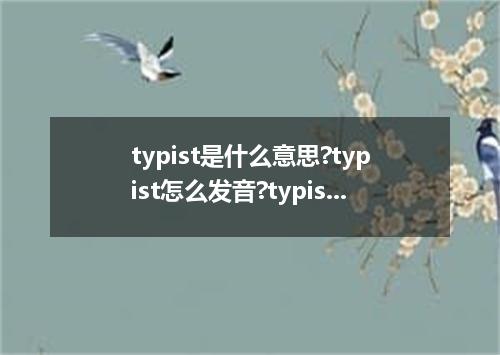 typist是什么意思?typist怎么发音?typist的解释和用法