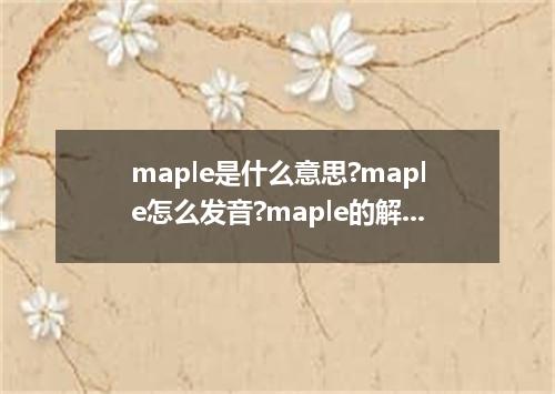 maple是什么意思?maple怎么发音?maple的解释和用法