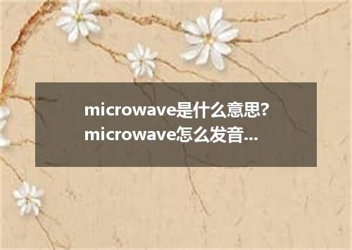 microwave是什么意思?microwave怎么发音?microwave的解释和用法