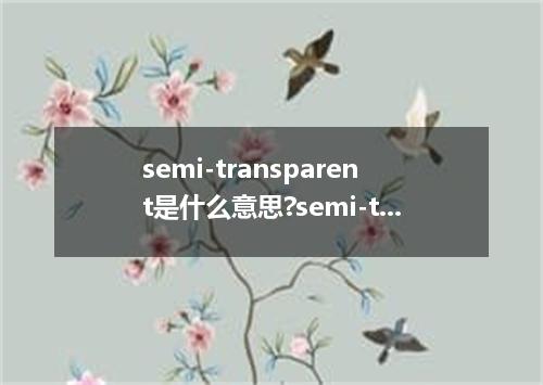 semi-transparent是什么意思?semi-transparent怎么发音?semi-transparent的解释和用法