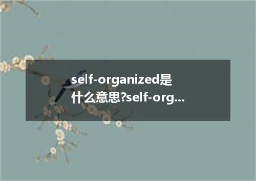 self-organized是什么意思?self-organized怎么发音?self-organized的解释和用法
