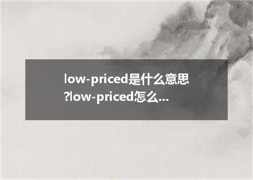 low-priced是什么意思?low-priced怎么发音?low-priced的解释和用法