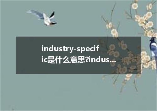 industry-specific是什么意思?industry-specific怎么发音?industry-specific的解释和用法
