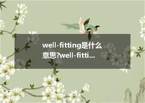 well-fitting是什么意思?well-fitting怎么发音?well-fitting的解释和用法