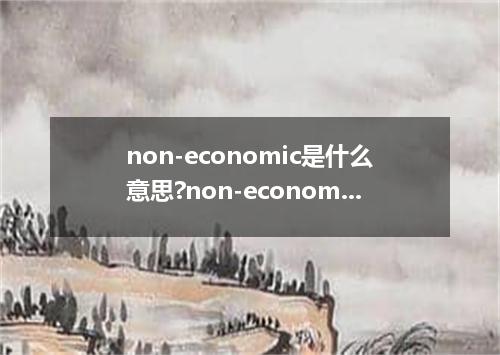 non-economic是什么意思?non-economic怎么发音?non-economic的解释和用法