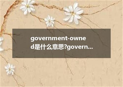 government-owned是什么意思?government-owned怎么发音?government-owned的解释和用法