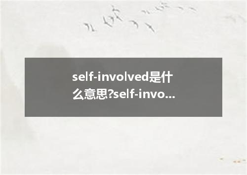self-involved是什么意思?self-involved怎么发音?self-involved的解释和用法
