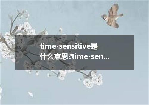 time-sensitive是什么意思?time-sensitive怎么发音?time-sensitive的解释和用法