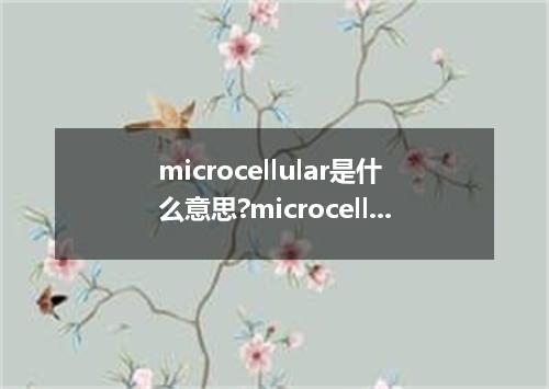 microcellular是什么意思?microcellular怎么发音?microcellular的解释和用法