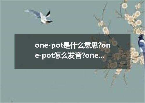 one-pot是什么意思?one-pot怎么发音?one-pot的解释和用法