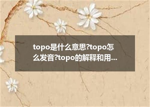 topo是什么意思?topo怎么发音?topo的解释和用法