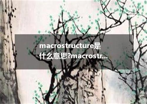 macrostructure是什么意思?macrostructure怎么发音?macrostructure的解释和用法