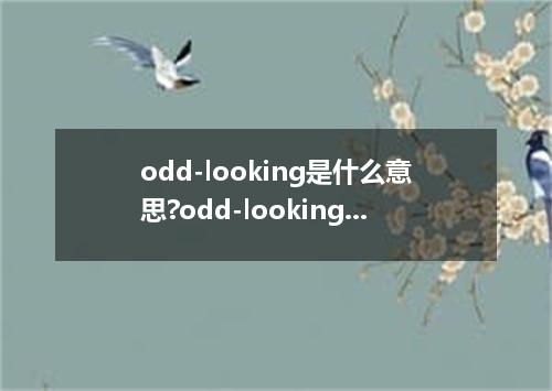 odd-looking是什么意思?odd-looking怎么发音?odd-looking的解释和用法