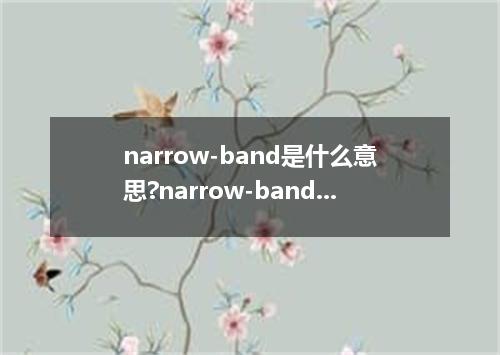 narrow-band是什么意思?narrow-band怎么发音?narrow-band的解释和用法