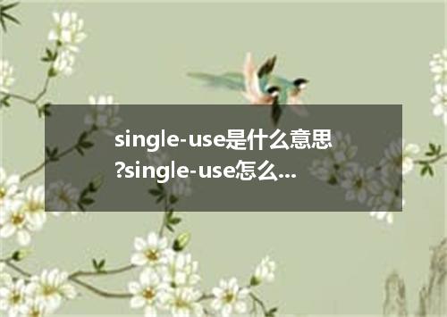 single-use是什么意思?single-use怎么发音?single-use的解释和用法