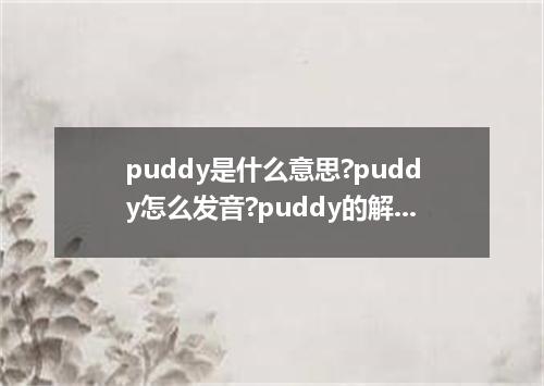 puddy是什么意思?puddy怎么发音?puddy的解释和用法