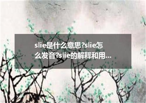 slie是什么意思?slie怎么发音?slie的解释和用法