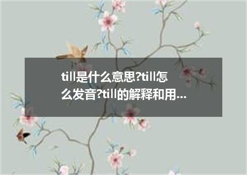 till是什么意思?till怎么发音?till的解释和用法