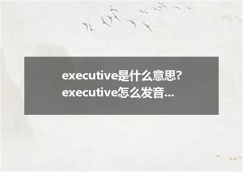 executive是什么意思?executive怎么发音?executive的解释和用法