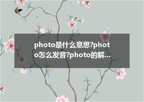 photo是什么意思?photo怎么发音?photo的解释和用法