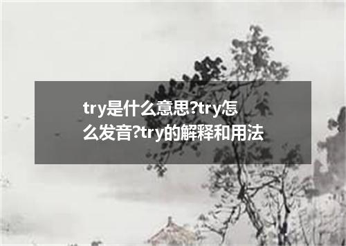 try是什么意思?try怎么发音?try的解释和用法