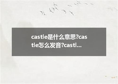 castle是什么意思?castle怎么发音?castle的解释和用法