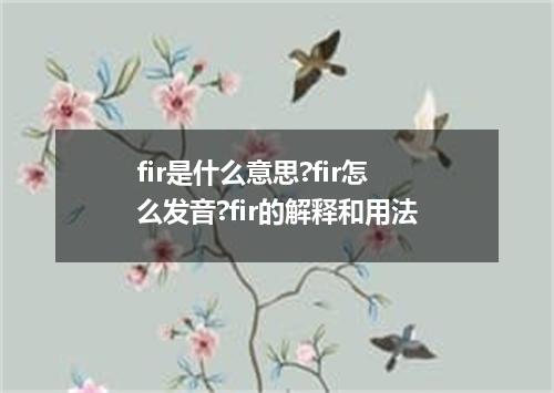 fir是什么意思?fir怎么发音?fir的解释和用法