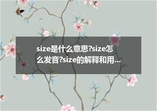 size是什么意思?size怎么发音?size的解释和用法