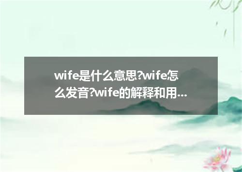 wife是什么意思?wife怎么发音?wife的解释和用法