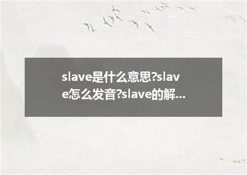 slave是什么意思?slave怎么发音?slave的解释和用法