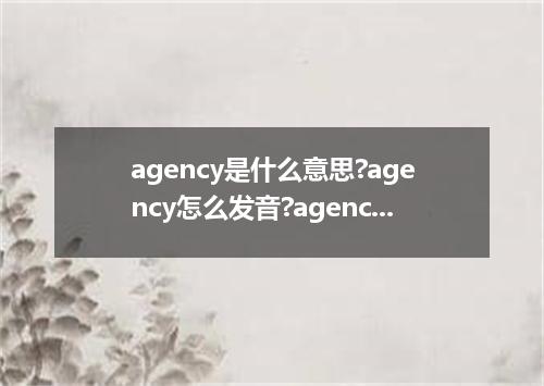 agency是什么意思?agency怎么发音?agency的解释和用法