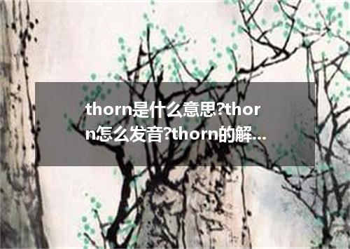 thorn是什么意思?thorn怎么发音?thorn的解释和用法