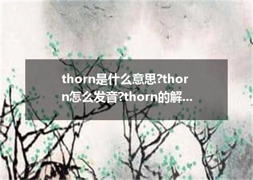 thorn是什么意思?thorn怎么发音?thorn的解释和用法